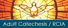 Adult Catechesis / RCIA