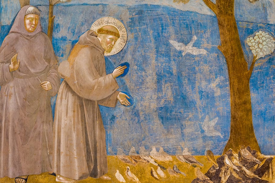 jubilee st francis