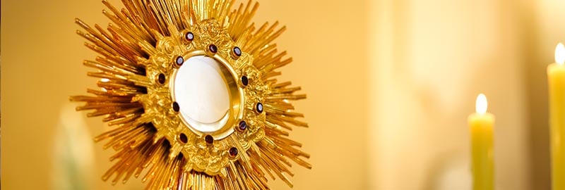 Adoration of the Most Holy Eucharist, the Blessed Sacrament.